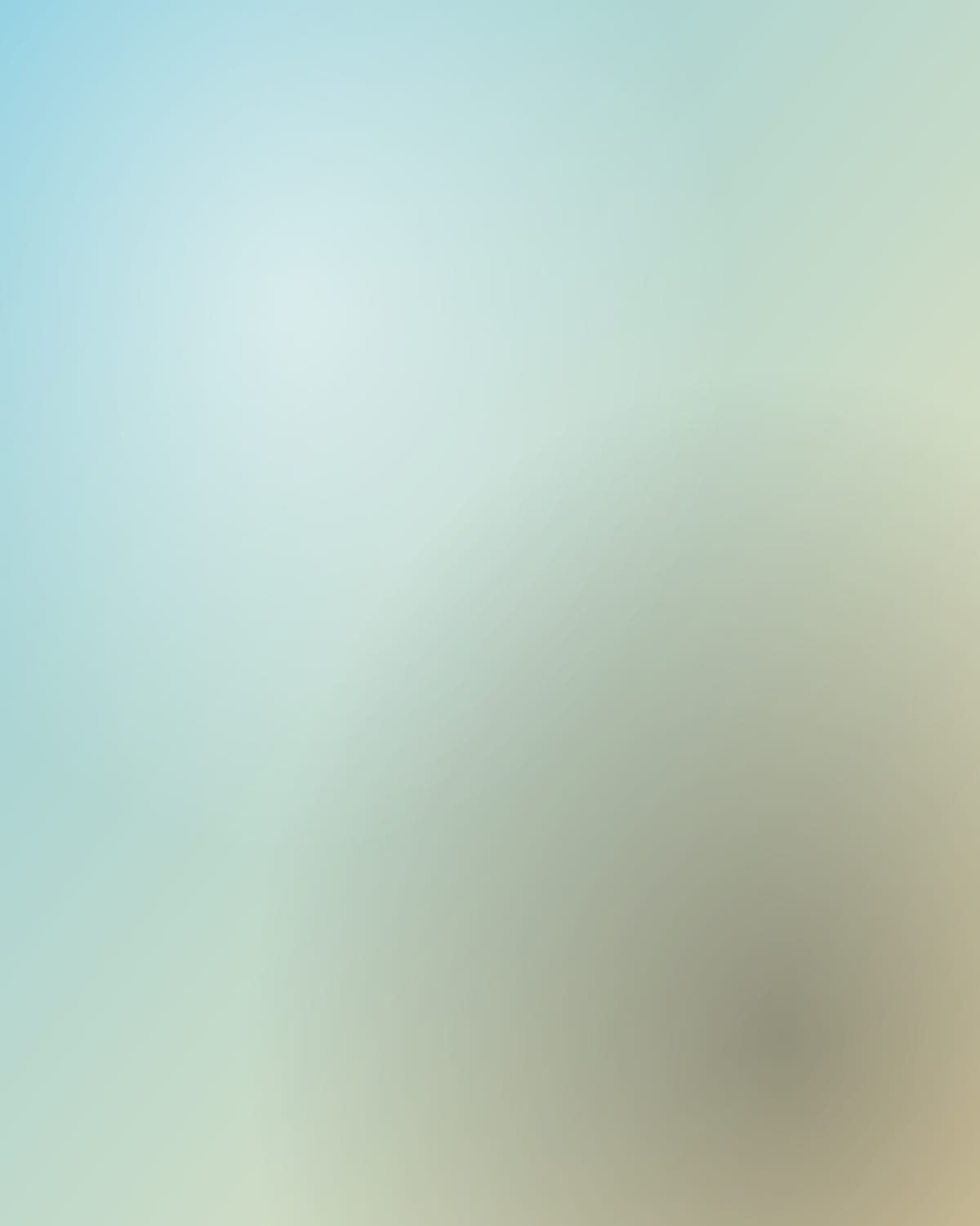 海边晴天硬光风格示例图